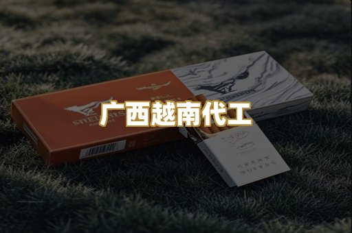 广西越南代工